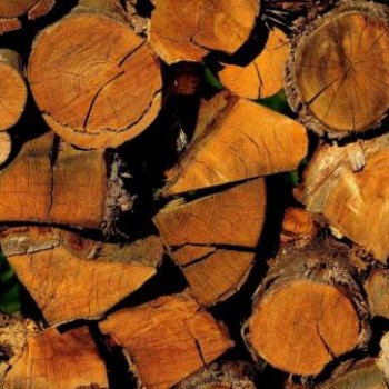 Peut-on couper son bois en forêt, pendant le confinement ? Nos réponses à vos questions 